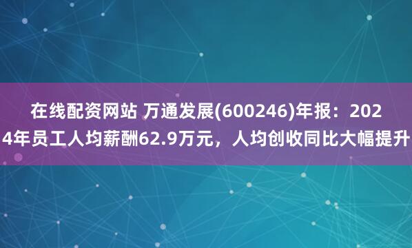 在线配资网站 万通发展(600246)年报：2024年员工人均薪酬62.9万元，人均创收同比大幅提升