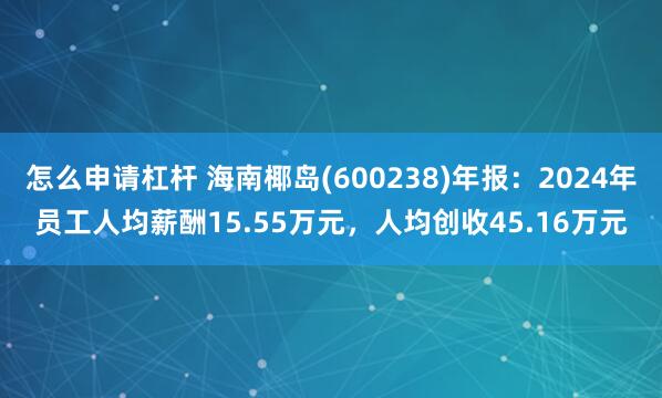 怎么申请杠杆 海南椰岛(600238)年报：2024年员工人均薪酬15.55万元，人均创收45.16万元