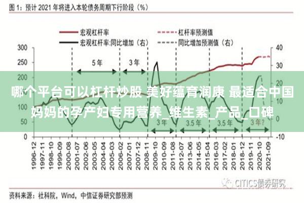 哪个平台可以杠杆炒股 美好蕴育润康 最适合中国妈妈的孕产妇专用营养_维生素_产品_口碑