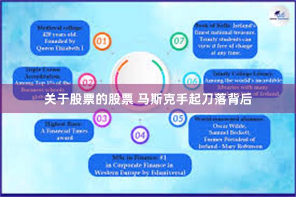 关于股票的股票 马斯克手起刀落背后