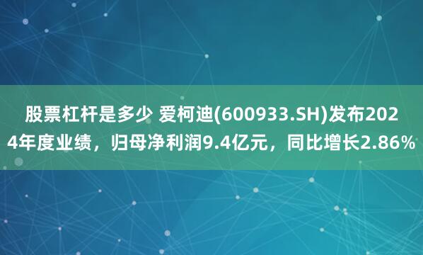 股票杠杆是多少 爱柯迪(600933.SH)发布2024年度业绩，归母净利润9.4亿元，同比增长2.86%