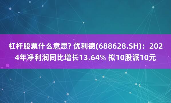 杠杆股票什么意思? 优利德(688628.SH)：2024年净利润同比增长13.64% 拟10股派10元