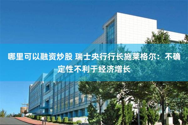 哪里可以融资炒股 瑞士央行行长施莱格尔：不确定性不利于经济增长