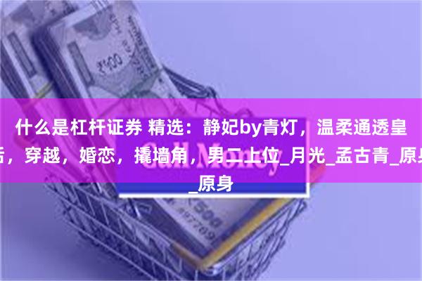 什么是杠杆证券 精选：静妃by青灯，温柔通透皇后，穿越，婚恋，撬墙角，男二上位_月光_孟古青_原身