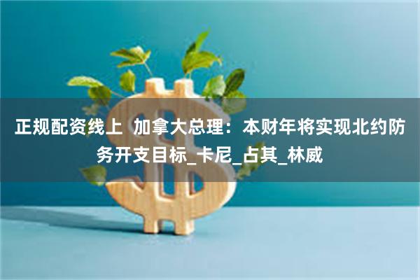 正规配资线上  加拿大总理：本财年将实现北约防务开支目标_卡尼_占其_林威