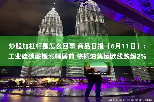 炒股加杠杆是怎么回事 商品日报（6月11日）：工业硅碳酸锂涨幅居前 棕榈油集运欧线跌超2%