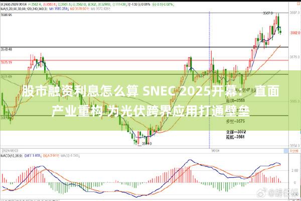股市融资利息怎么算 SNEC 2025开幕： 直面产业重构 为光伏跨界应用打通壁垒