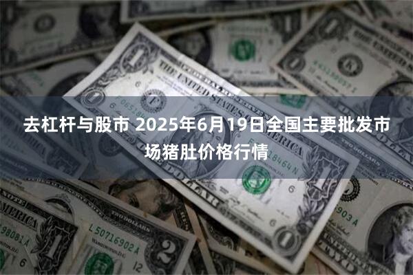 去杠杆与股市 2025年6月19日全国主要批发市场猪肚价格行情