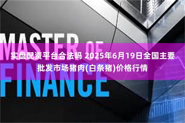 实盘配资平台合法吗 2025年6月19日全国主要批发市场猪肉(白条猪)价格行情