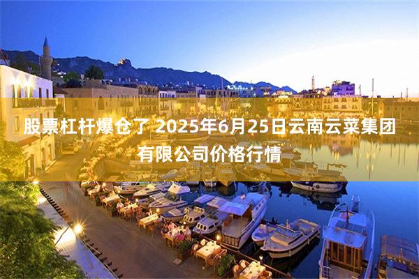 股票杠杆爆仓了 2025年6月25日云南云菜集团有限公司价格行情