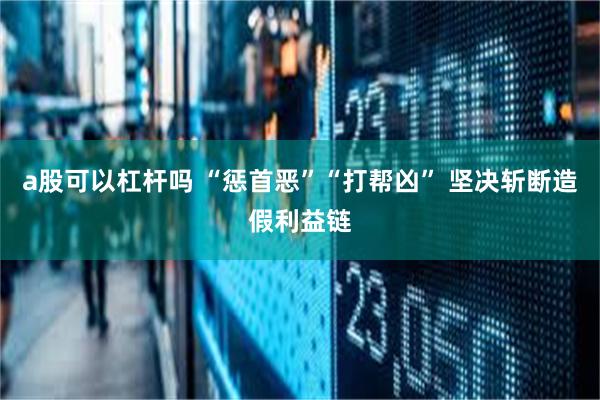 a股可以杠杆吗 “惩首恶”“打帮凶” 坚决斩断造假利益链