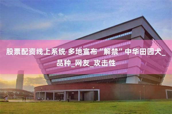 股票配资线上系统 多地宣布“解禁”中华田园犬_品种_网友_攻击性