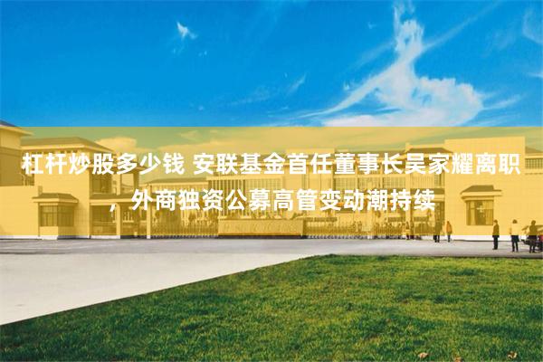 杠杆炒股多少钱 安联基金首任董事长吴家耀离职，外商独资公募高管变动潮持续