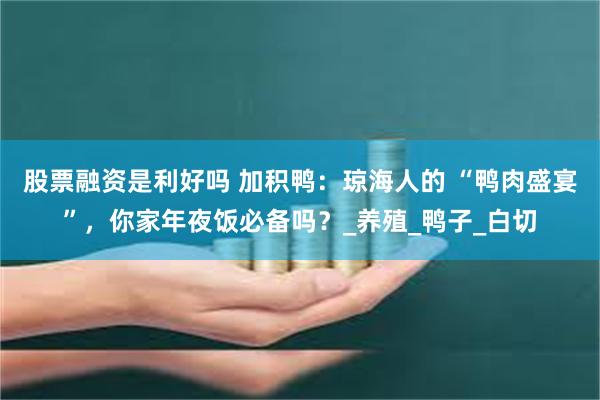 股票融资是利好吗 加积鸭：琼海人的 “鸭肉盛宴”，你家年夜饭必备吗？_养殖_鸭子_白切