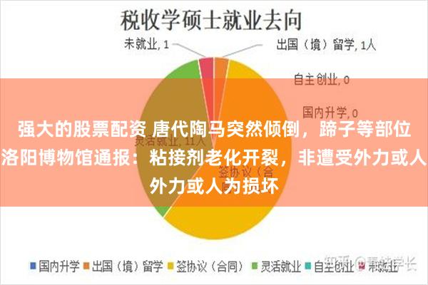 强大的股票配资 唐代陶马突然倾倒，蹄子等部位碎裂，洛阳博物馆通报：粘接剂老化开裂，非遭受外力或人为损坏